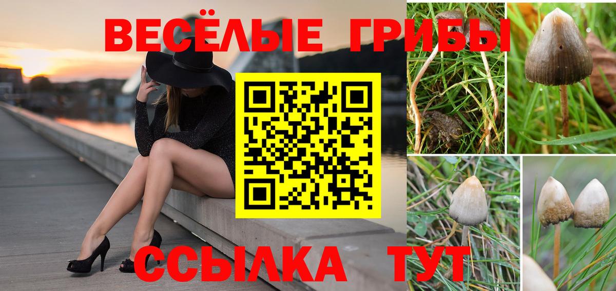 Галлюциногенные грибы мицелий Коломна