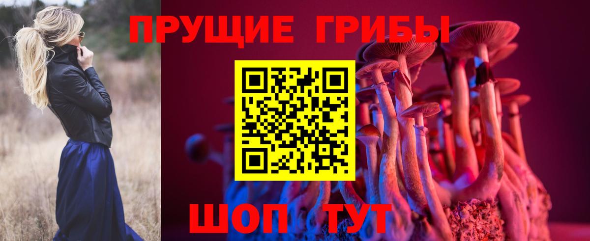 Коломна  Псилоцибиновые грибы GOLDEN TEACHER  Вход с VPN  Галлюциногенные грибы GOLDEN TEACHER 